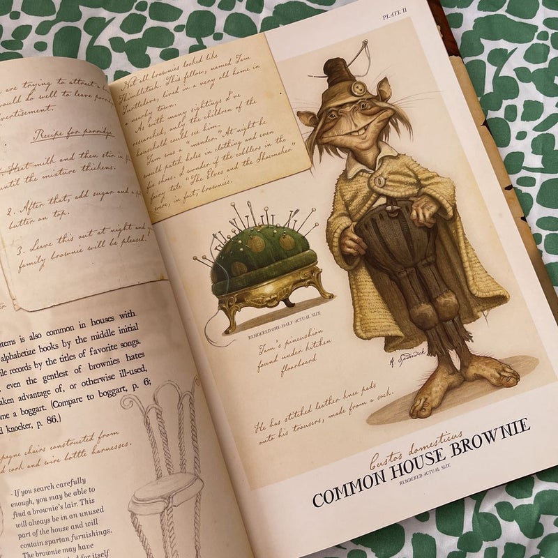 Arthur Spiderwick's Field Guide to the Fantastical World Around You