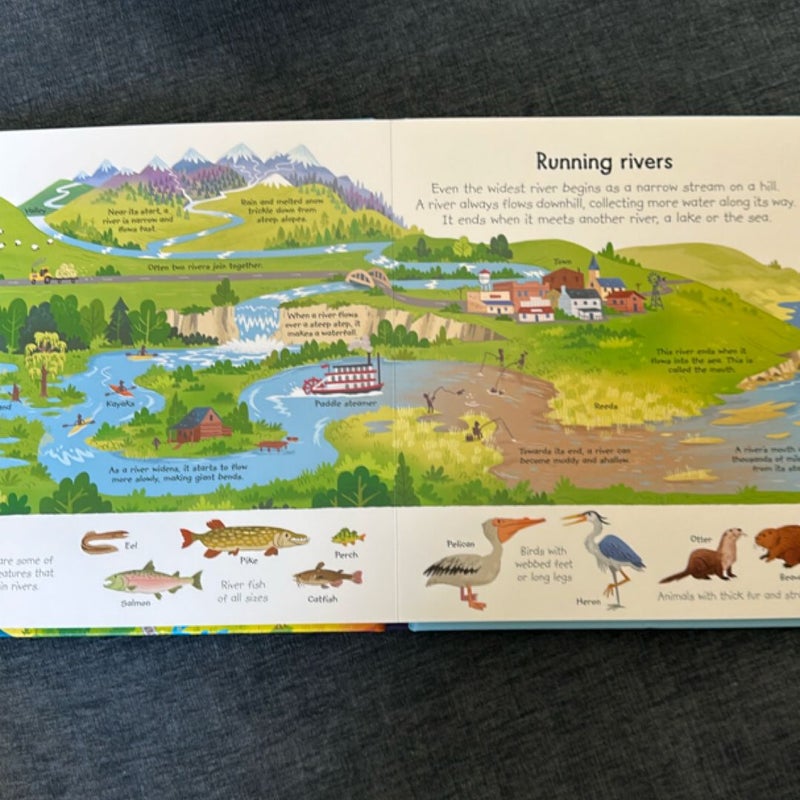 My Very First Our World Book IR