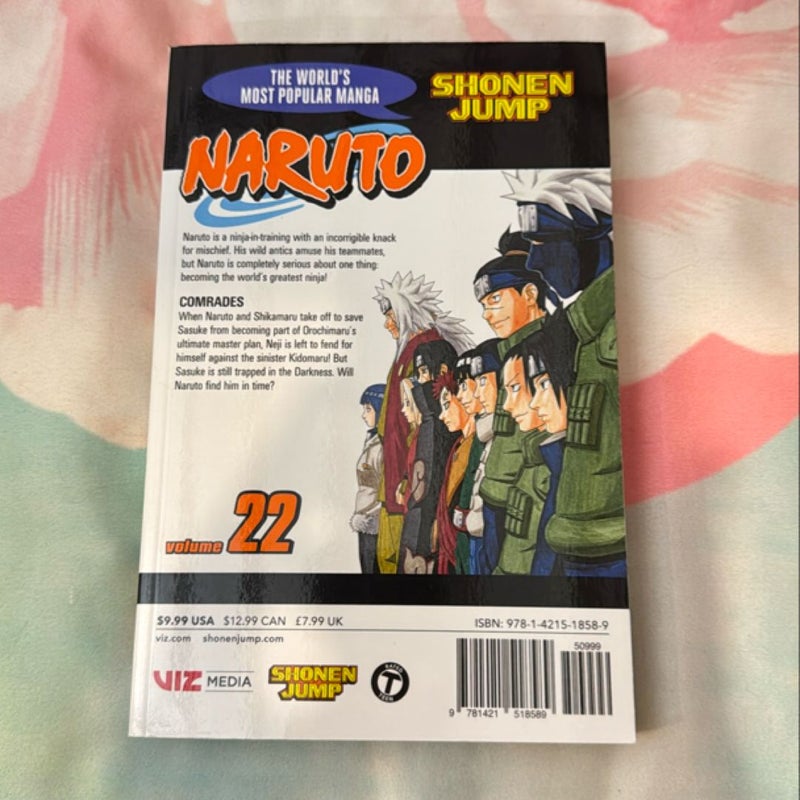 Naruto, Vol. 22