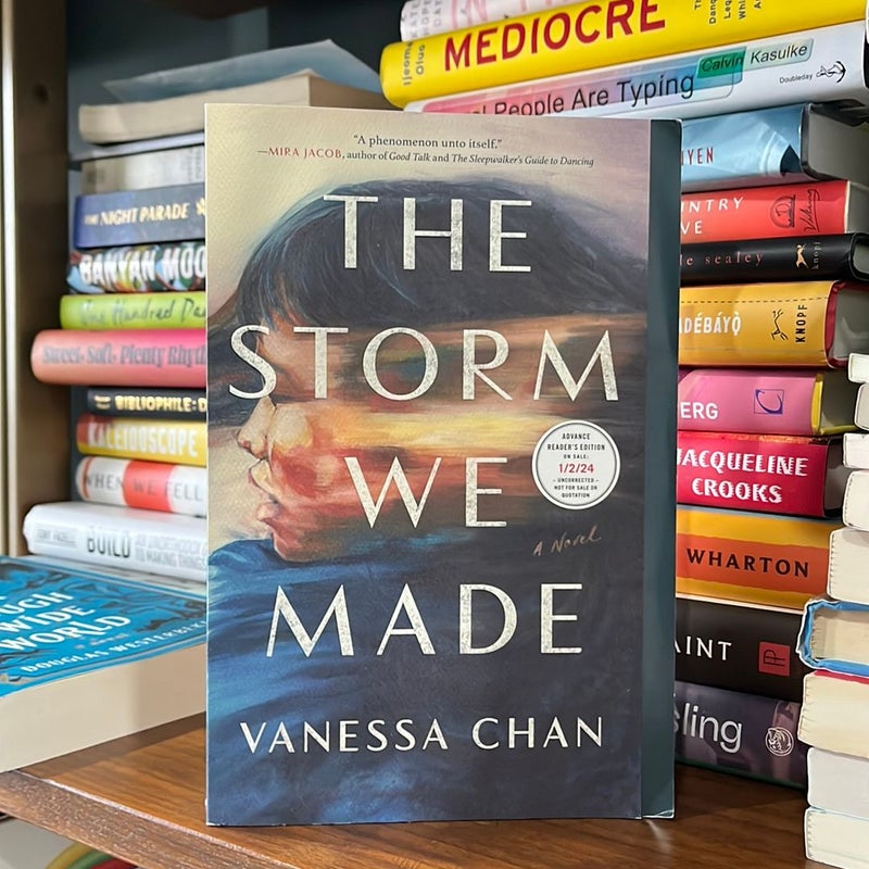 The Storm We Made: A Novel See more