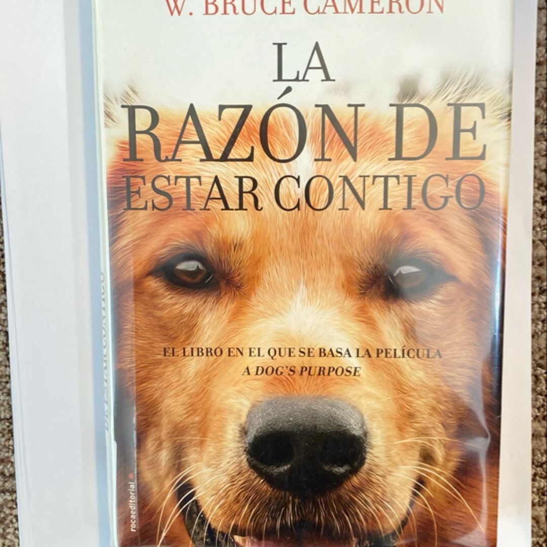 La razón de estar contigo