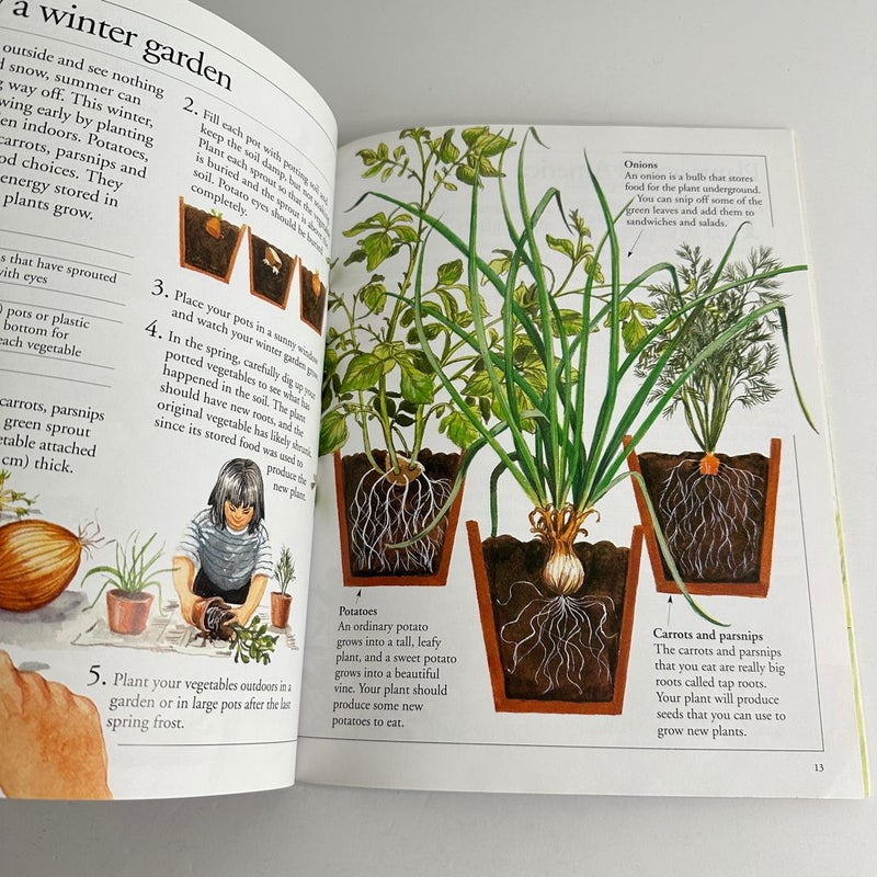 Starting With Nature: Plant, Bird, Tree, Bug book bundle