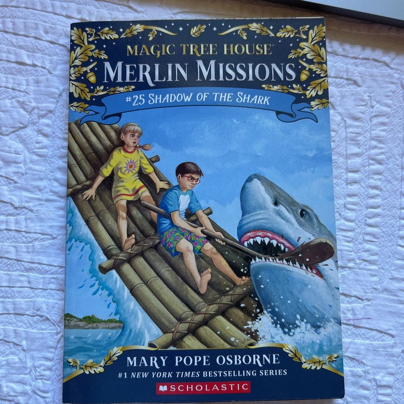 Magic tree house Merlin mission books 21-25