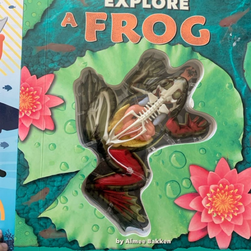 Uncover a shark Explore a Frog Elementary science anatomy 