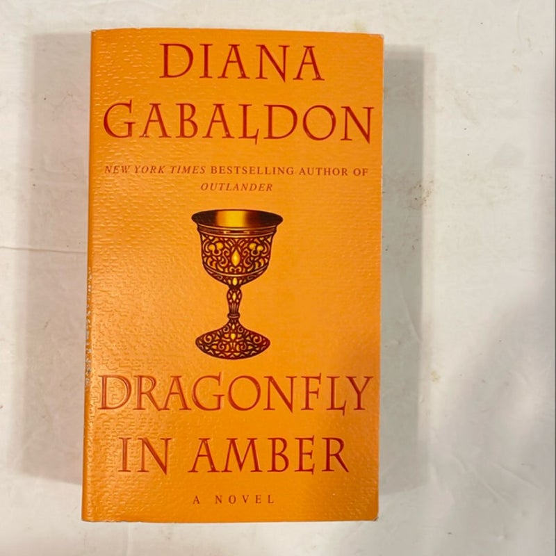 Dragonfly in Amber  (1499)