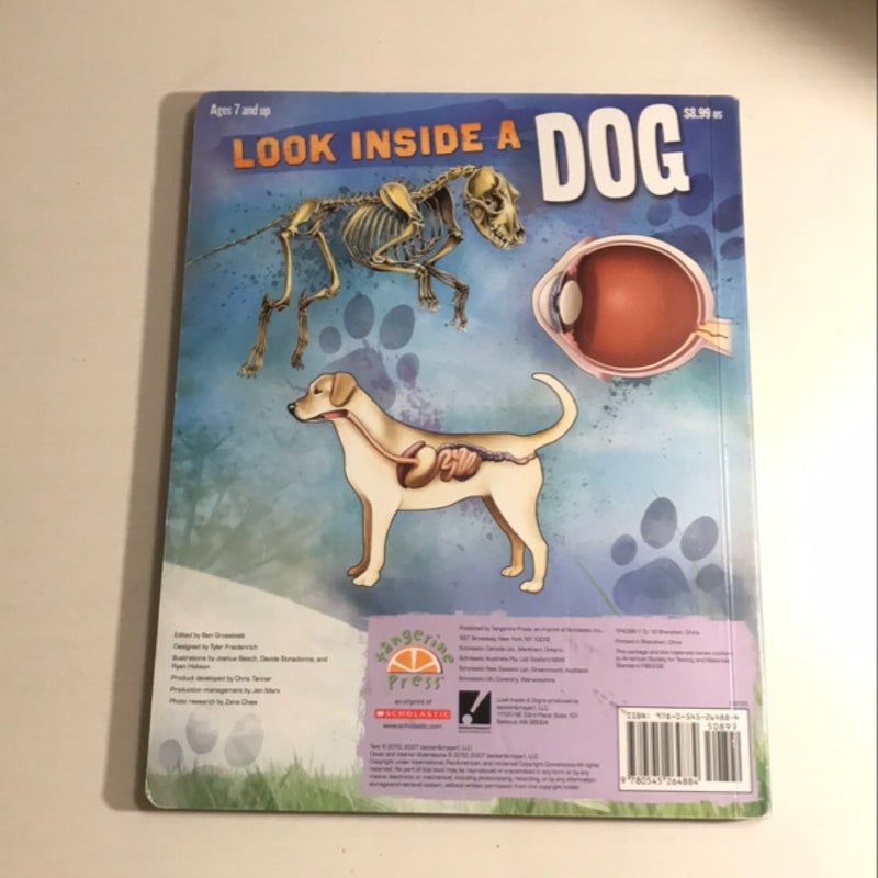 Look Inside A Dog 