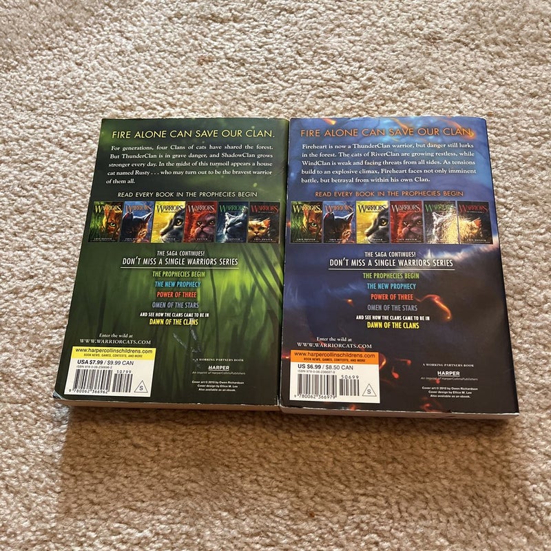 Warrior cats The prophecies begin book 1 and 3