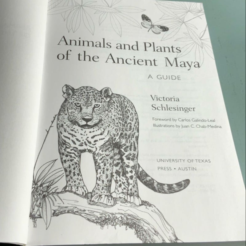 Animals and Plants of the Ancient Maya