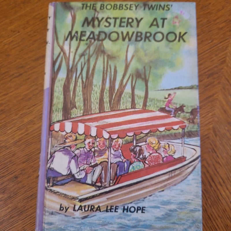 The Bobbsey Twins Mystery at Meadowbrook 