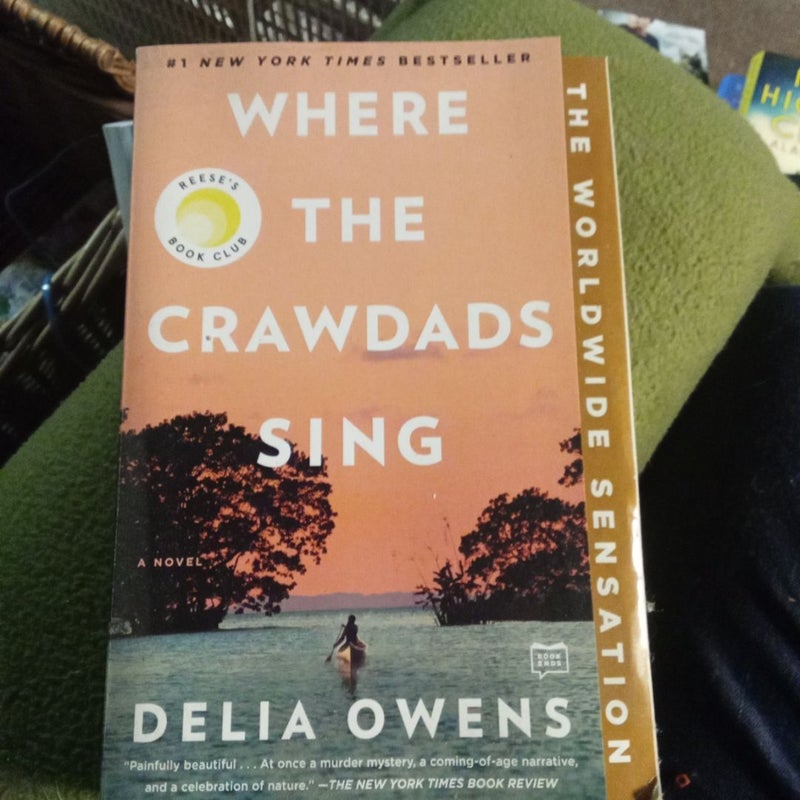 Where the Crawdads Sing