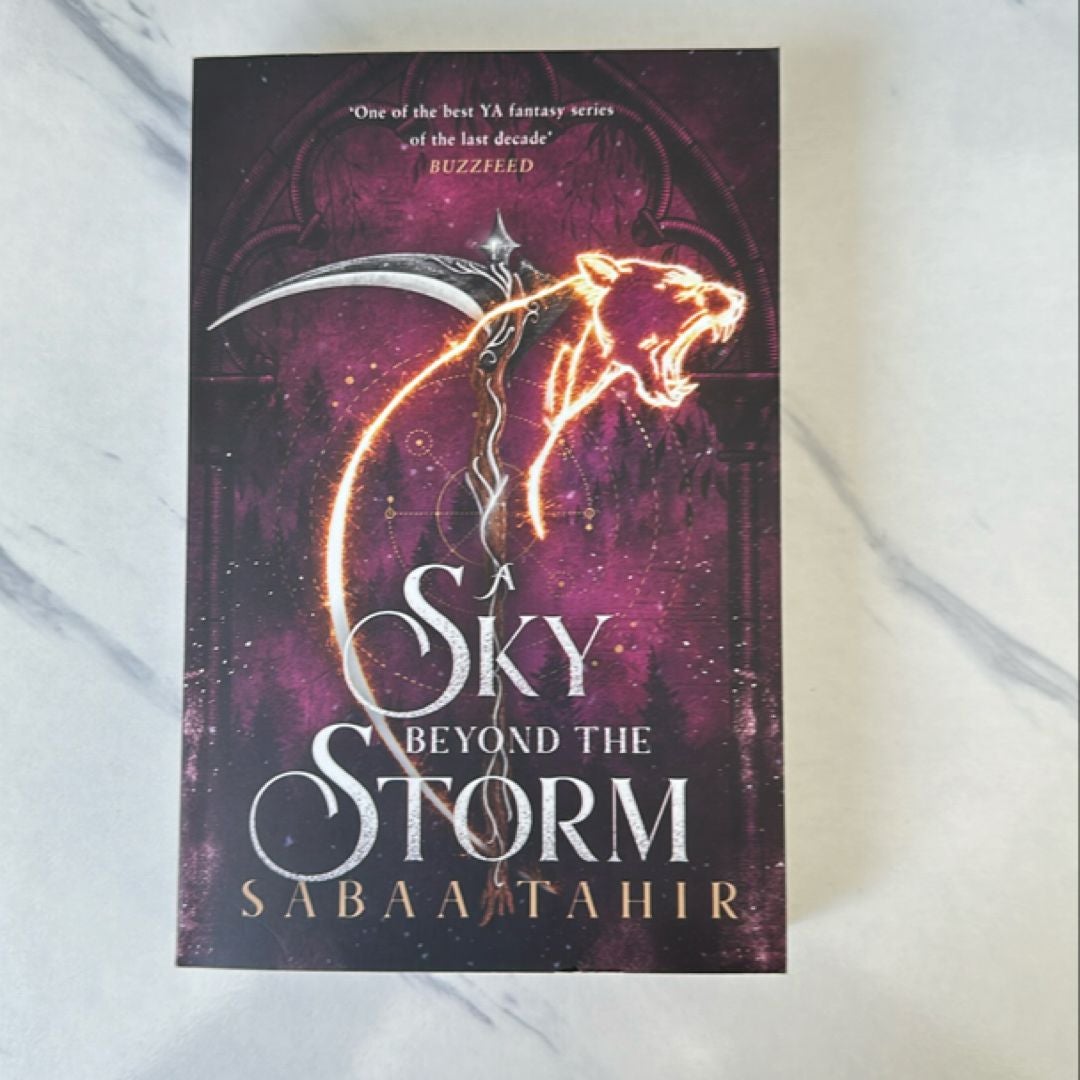 A Sky Beyond the Storm