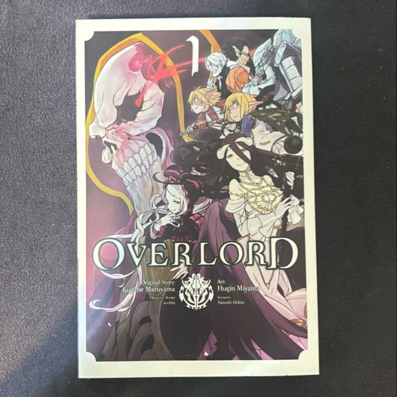 Overlord volume 1 