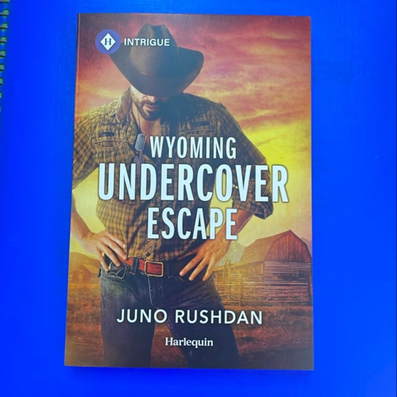 Wyoming Undercover Escape