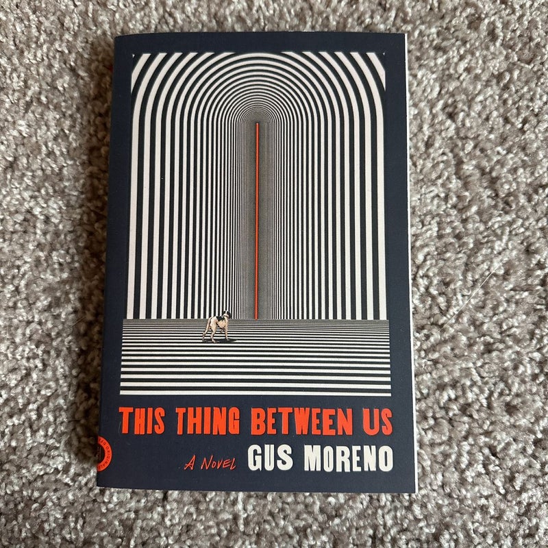 This Thing Between Us