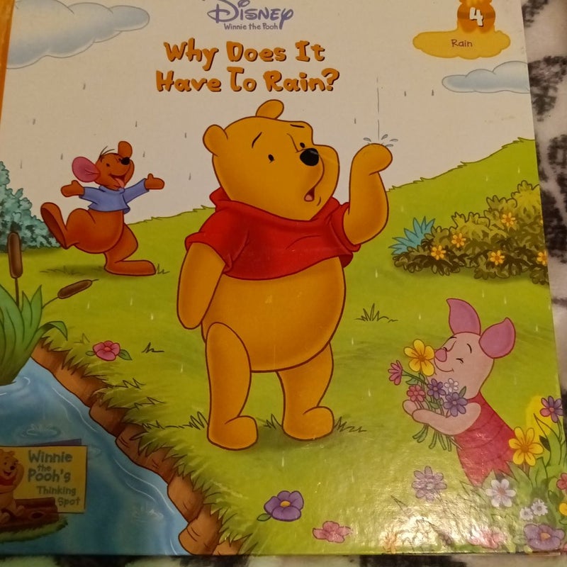 Winnie the Pooh Why Does it Have to Rain?