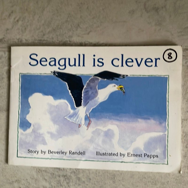 Seagull is Clever