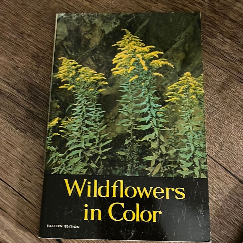 Wildflowers in Color