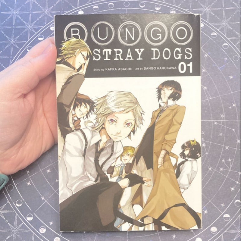 Bungo Stray Dogs, Vol. 1