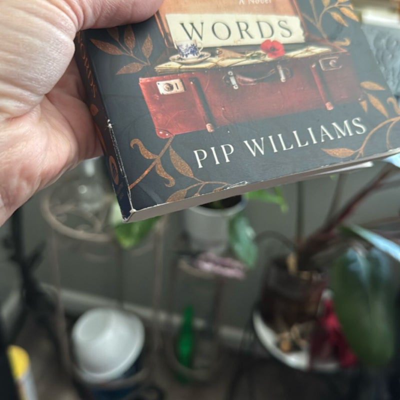 The Dictionary of Lost Words