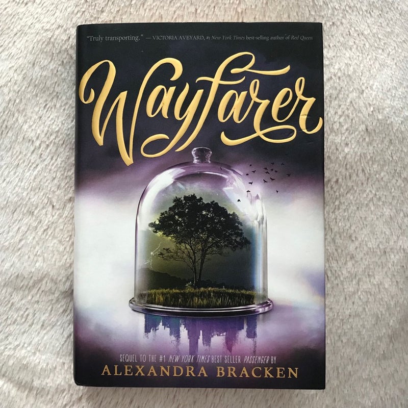 Wayfarer (a Passenger Novel, Book 2)