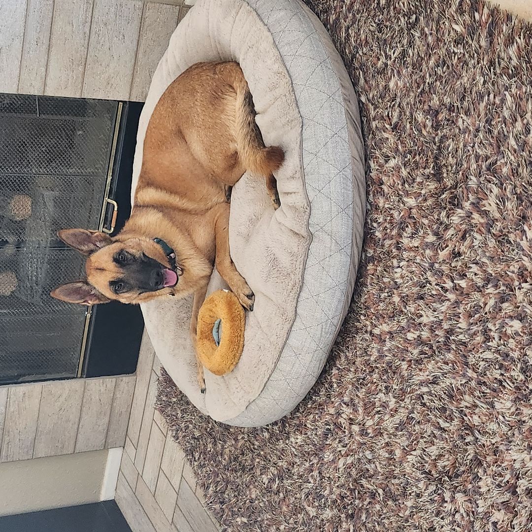 Rachel's Reading Inventory