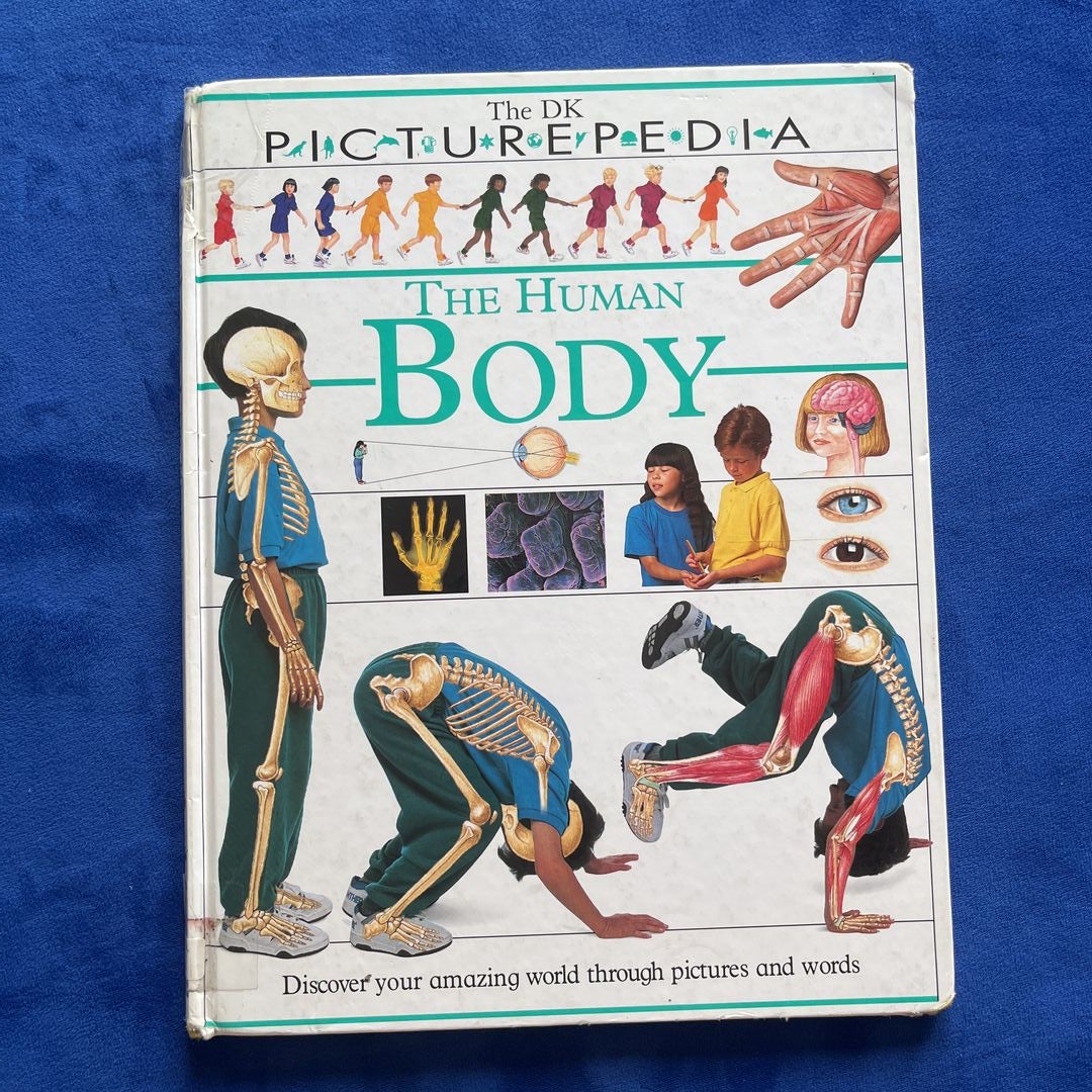 The Human Body