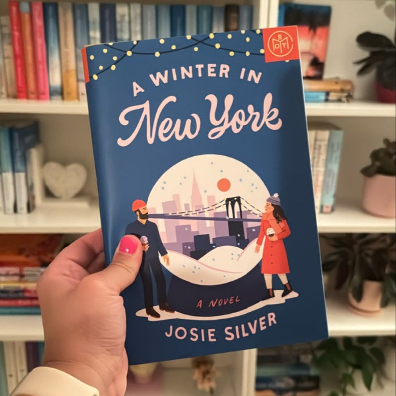 A Winter in New York