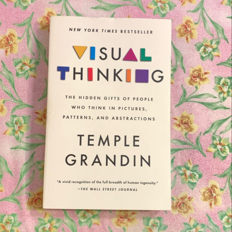 Visual Thinking