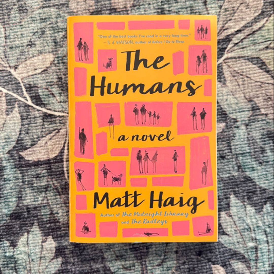 Sale image for ef873301-d64d-4975-858e-90fb973f53c9-jZGTyDIf5qUkOApgoUiMNumPHYs1