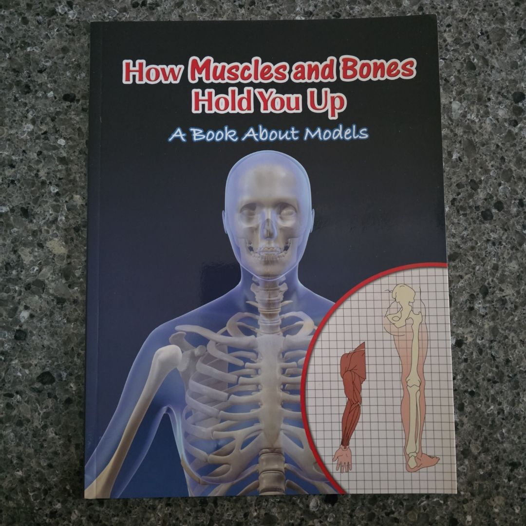 How Muscles and Bones Hold You Up