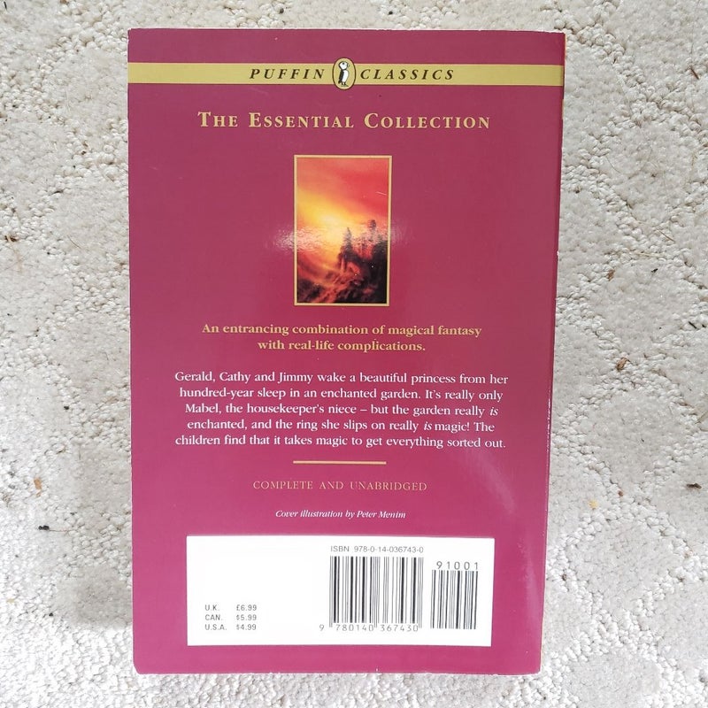 The Enchanted Castle (Puffin Classics Edition, 1994)