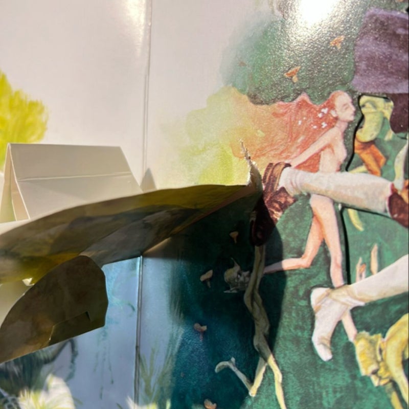 The Faeries Pop-up Book