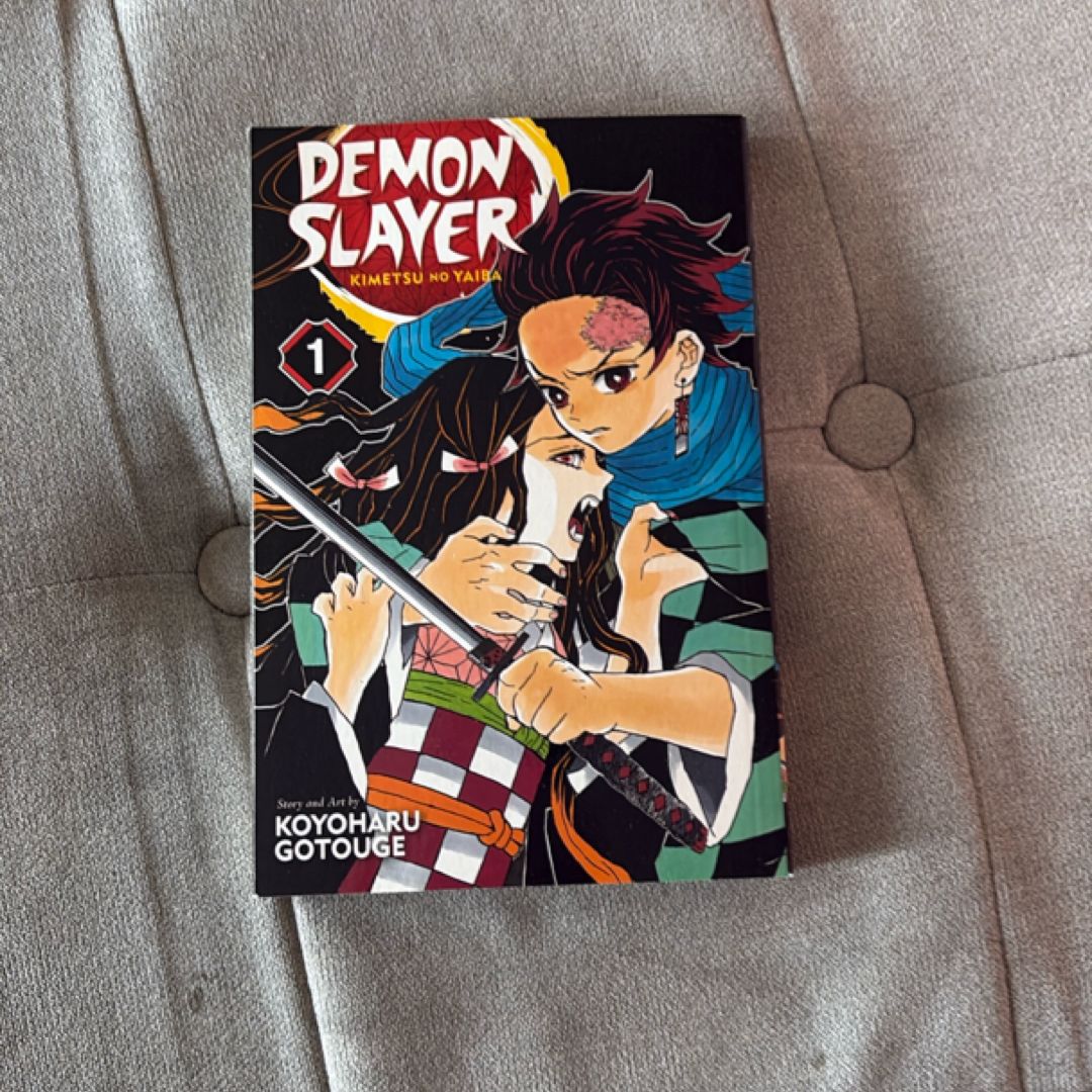 Demon Slayer: Kimetsu No Yaiba, Vol. 1