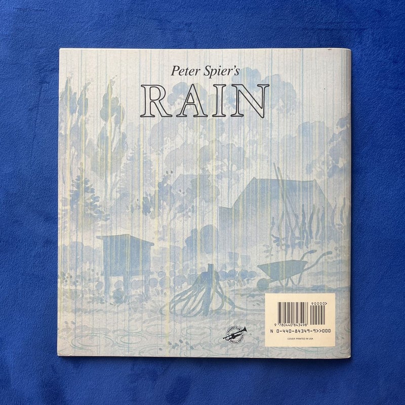 Rain