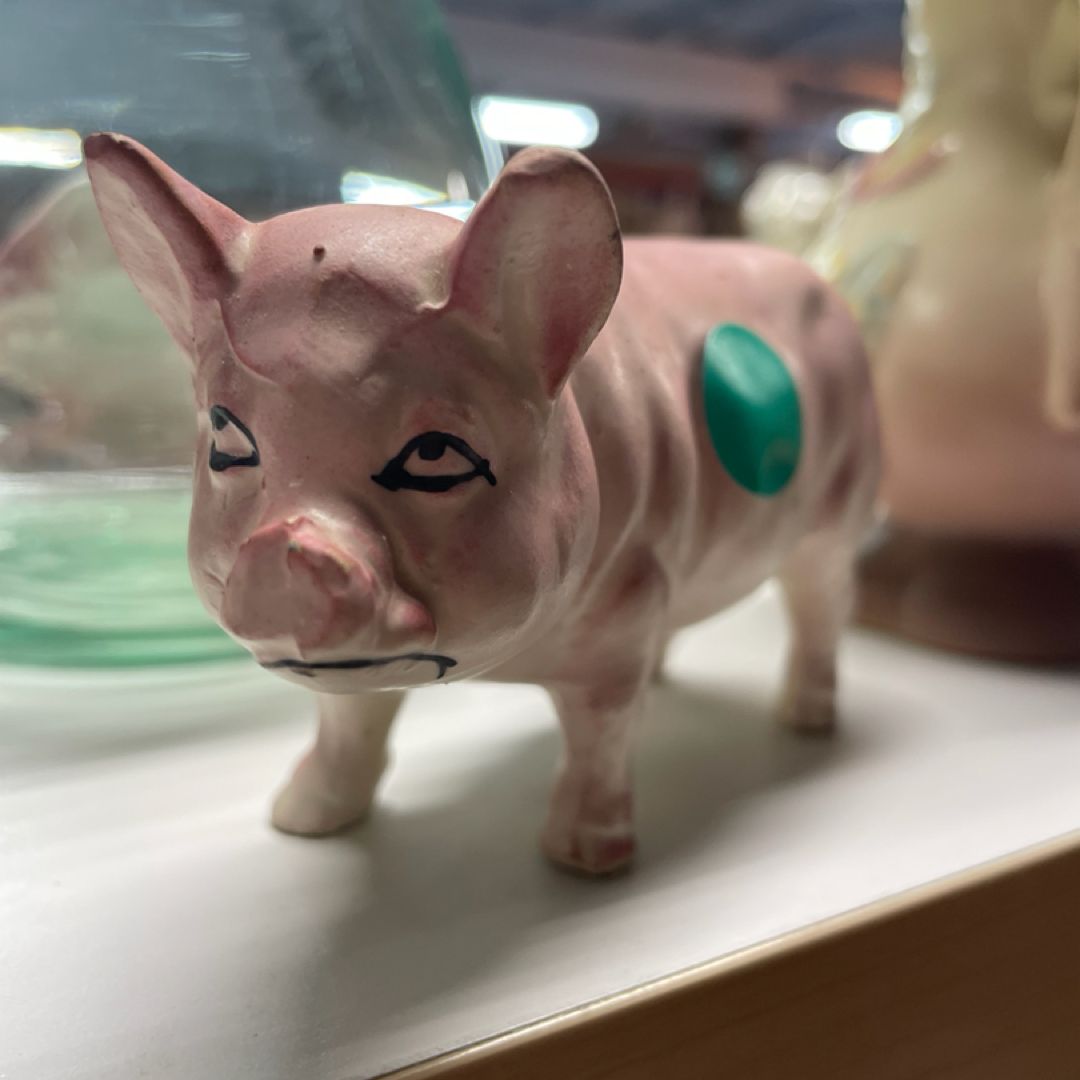 Firefly Forest Finds