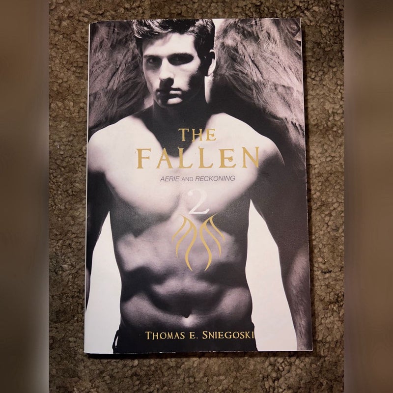 The Fallen Series: Books 1 & 2