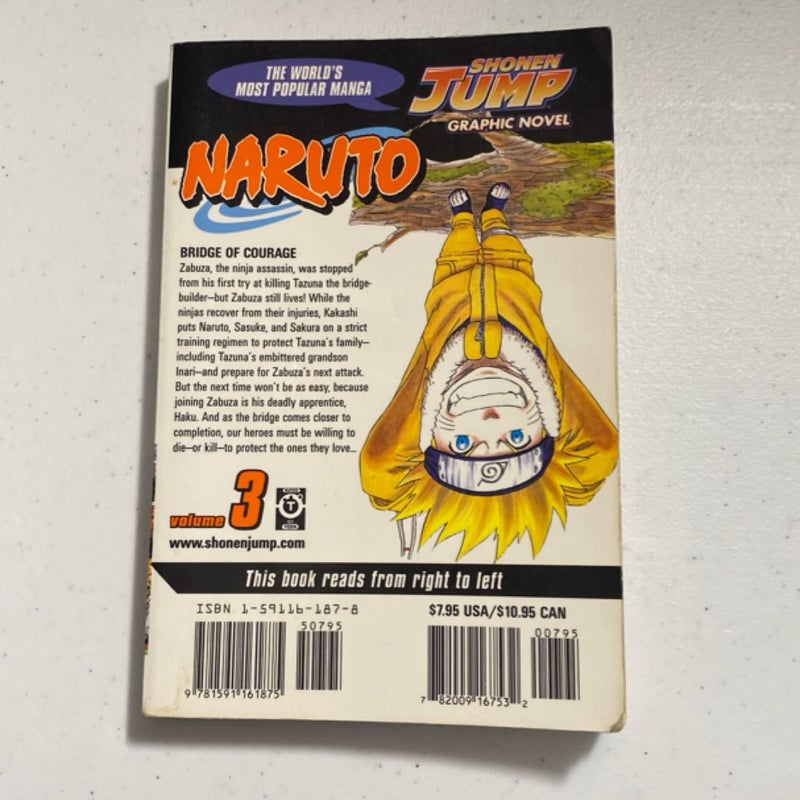 Naruto, Vol. 3
