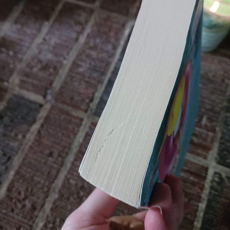 The Southern Side of Paradise