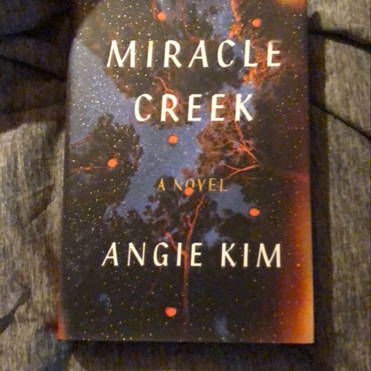 Miracle Creek by Angie Kim, Hardcover Pangobooks