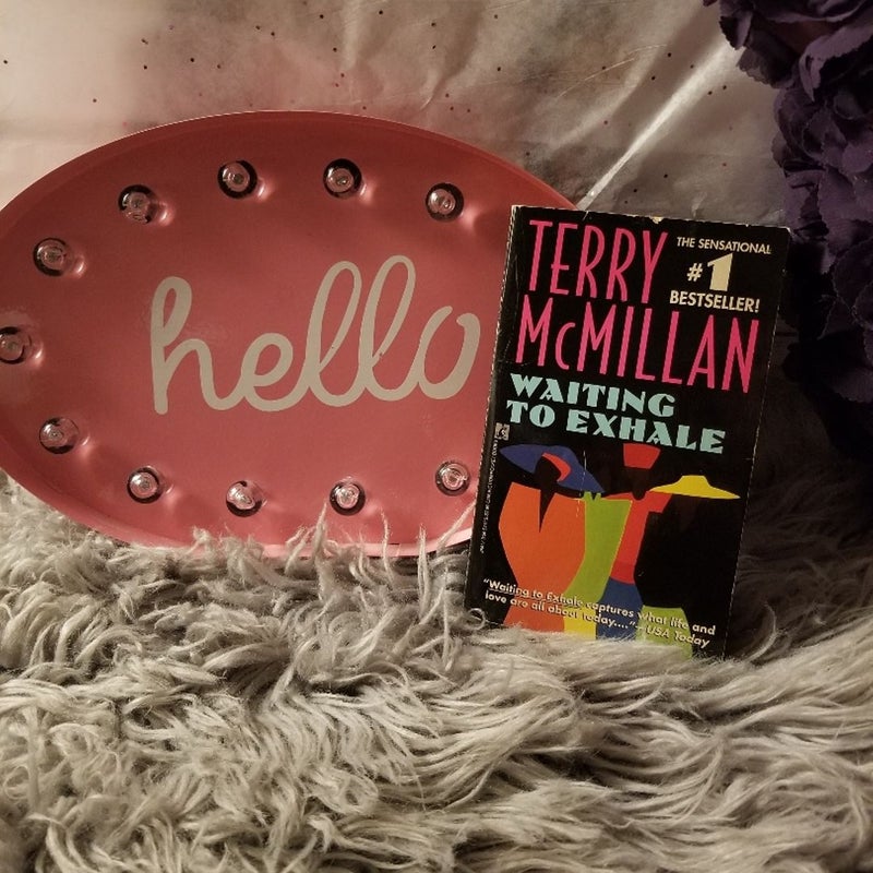 Waiting to Exhale by Terry McMillan, Paperback | Pangobooks