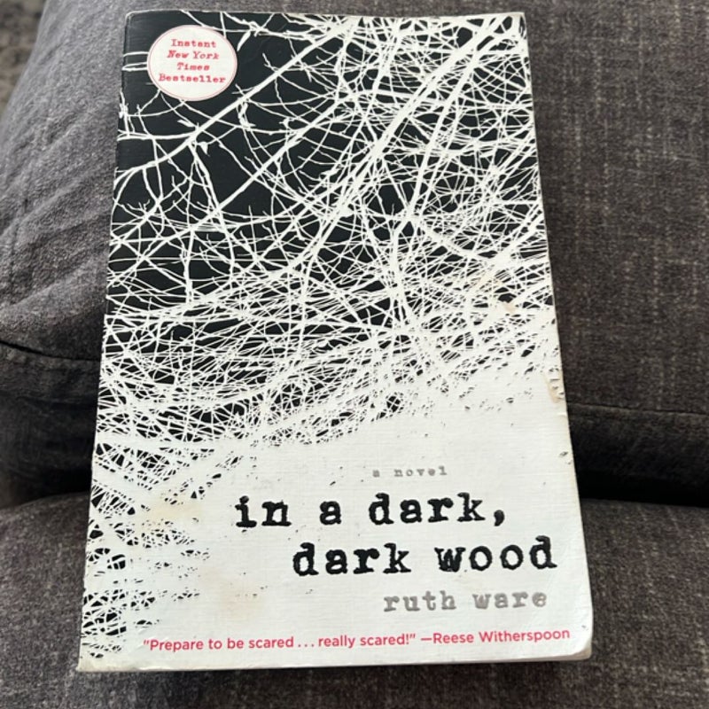 In a Dark, Dark Wood