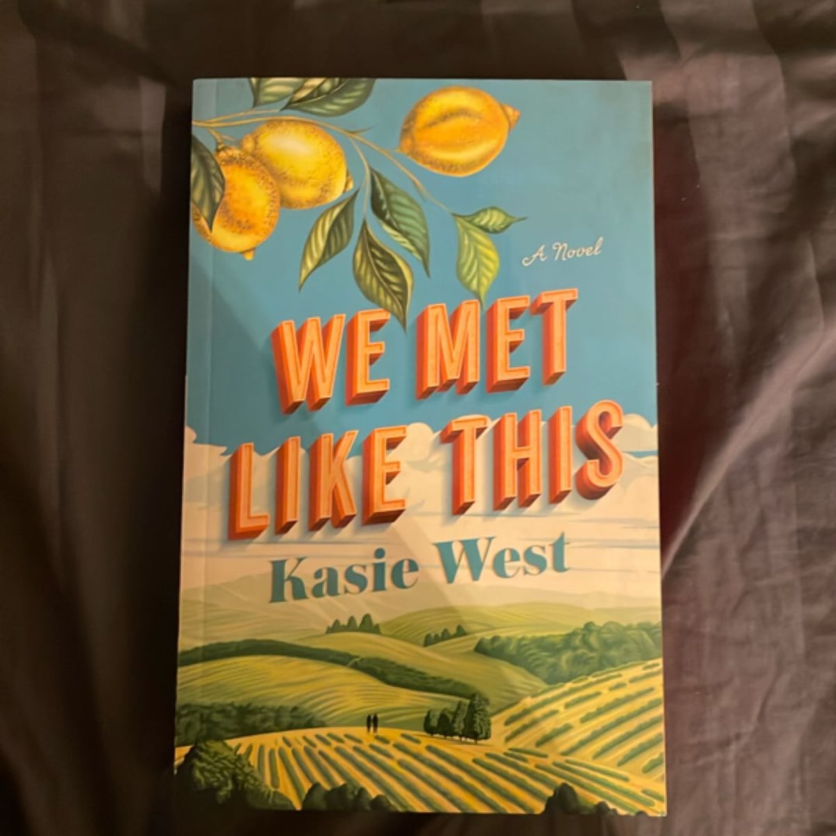 We Met Like This by Kasie West
