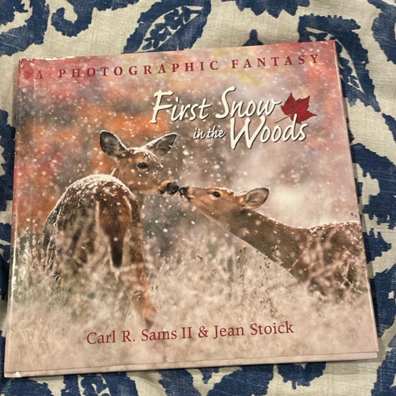First Snow in the Woods