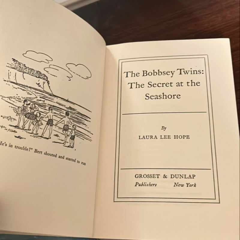 The Bobbsey Twins The Secret at the Seashore 