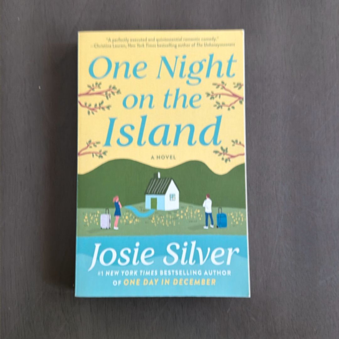 One Night on the Island