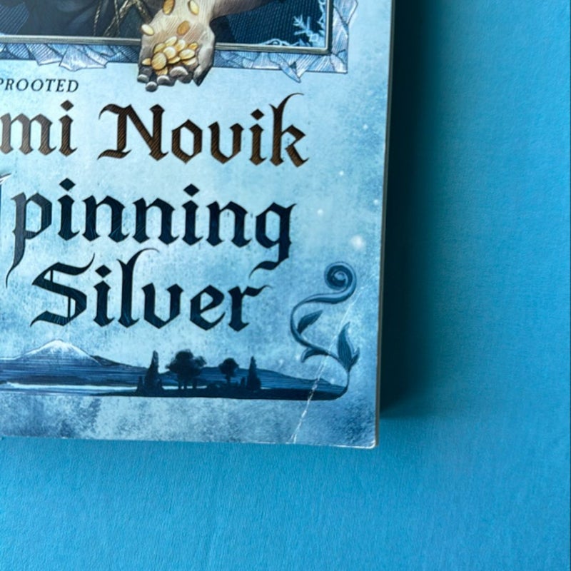 Spinning Silver