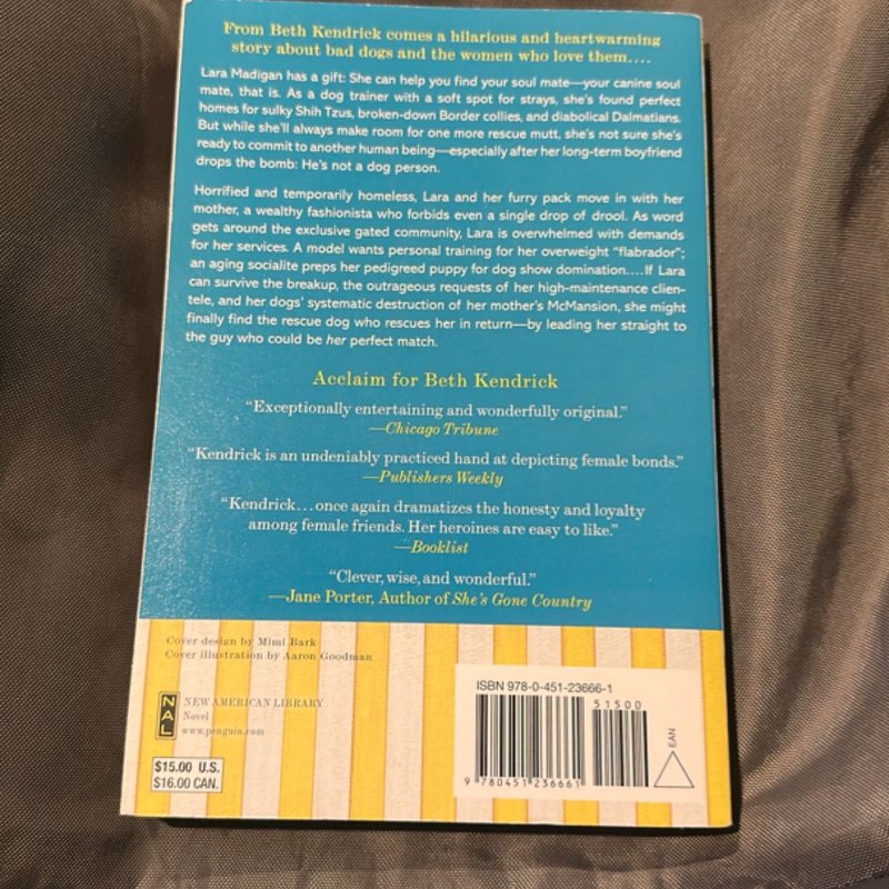 The Lucky Dog Matchmaking Service