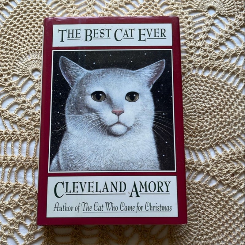 The Best Cat Ever