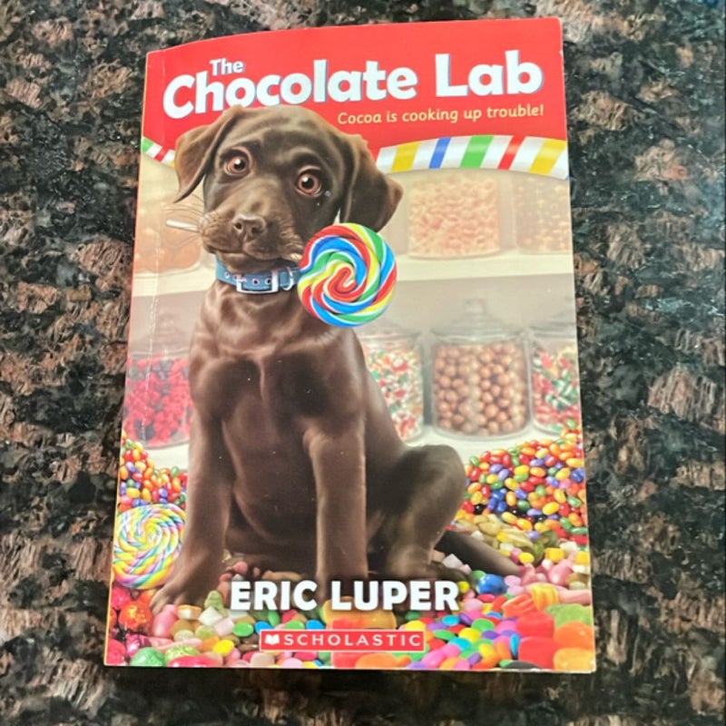 The Chocolate Lab