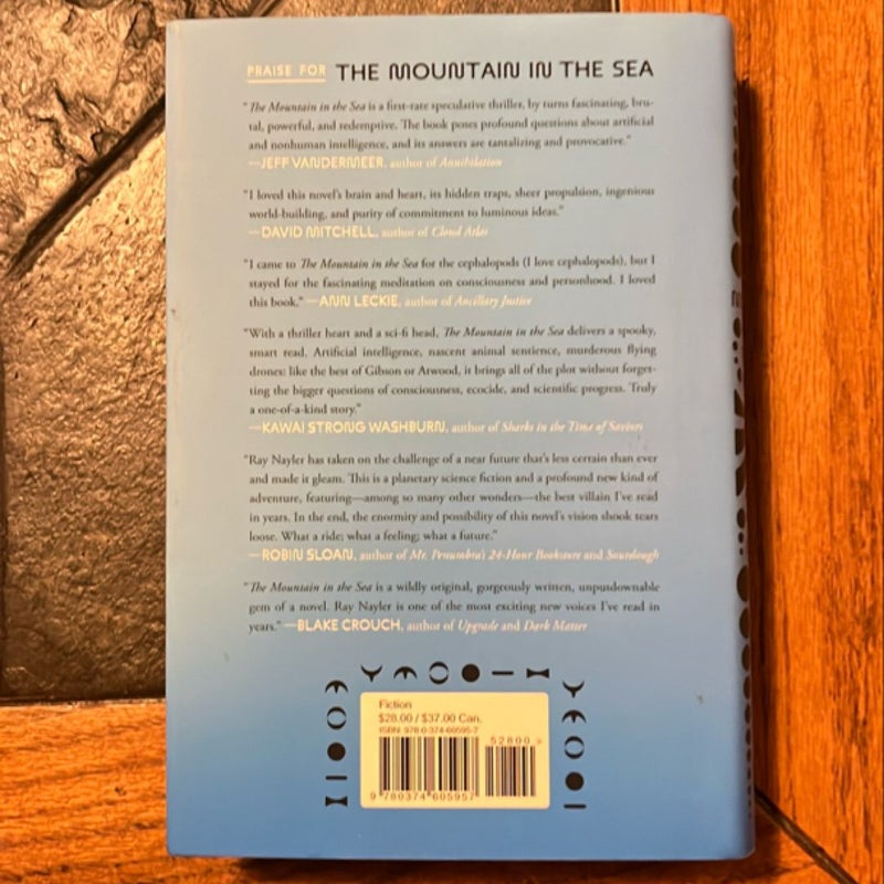 The Mountain in the Sea